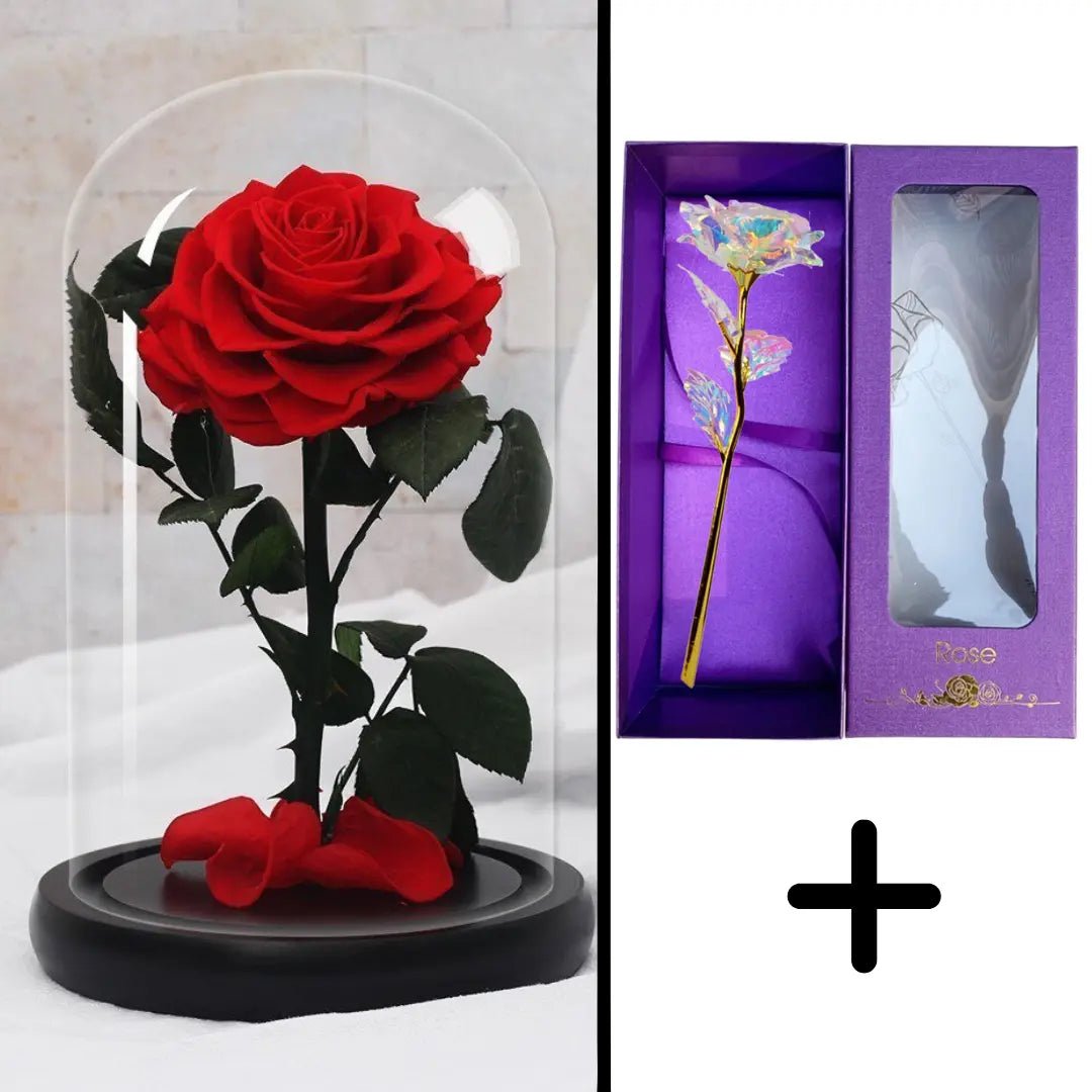 Eternal Red Rose Bundle Pack + 24k Gift Box (Choice)