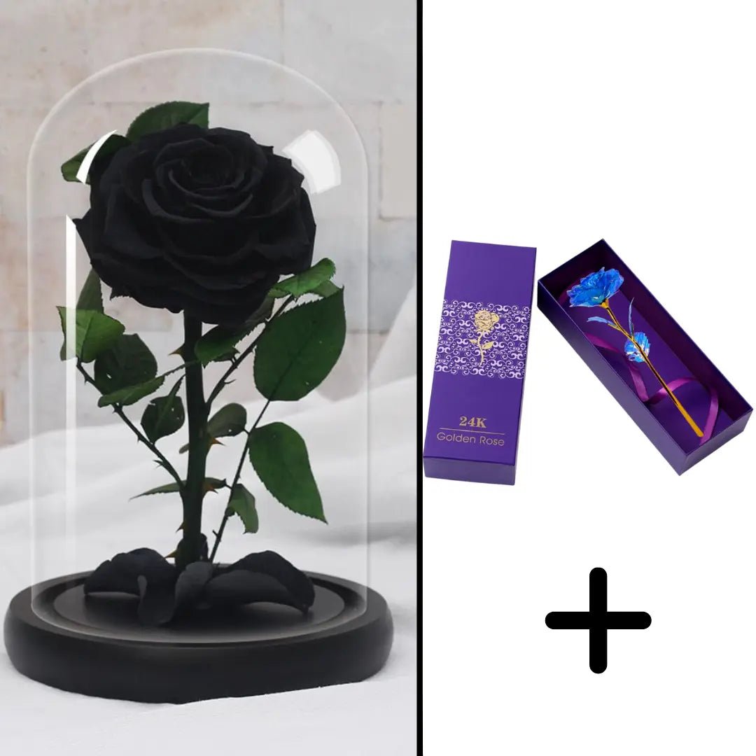 Eternal Red Rose Bundle Pack + 24k Gift Box (Choice)