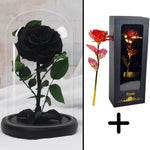 Bundle Pack Rose Eternelle Rouge + Coffret 24k (Choix)