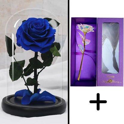 Eternal Rose Blue Bundle-Paket + 24k Geschenkbox (Auswahl)
