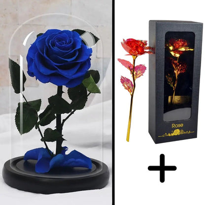 Eternal Rose Blue Bundle-Paket + 24k Geschenkbox (Auswahl)