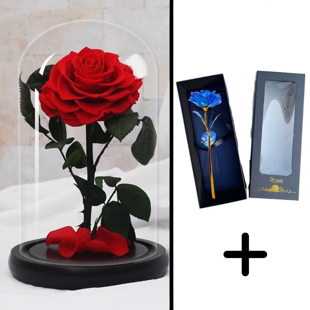 Eternal Red Rose Bundle Pack + 24k Gift Box (Choice)