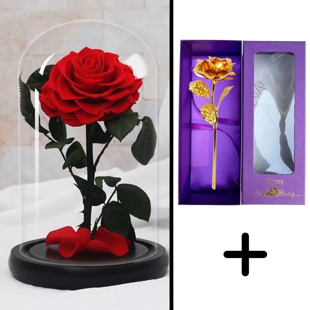 Eternal Red Rose Bundle Pack + 24k Gift Box (Choice)