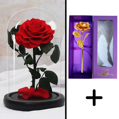 Eternal Red Rose Bundle Pack + 24k Gift Box (Choice)