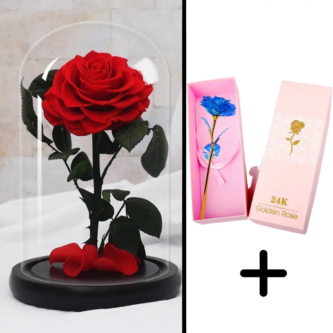 Eternal Red Rose Bundle Pack + 24k Gift Box (Choice)