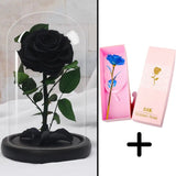 Bundle Pack Rose Eternelle Noir + Coffret 24k (Choix)