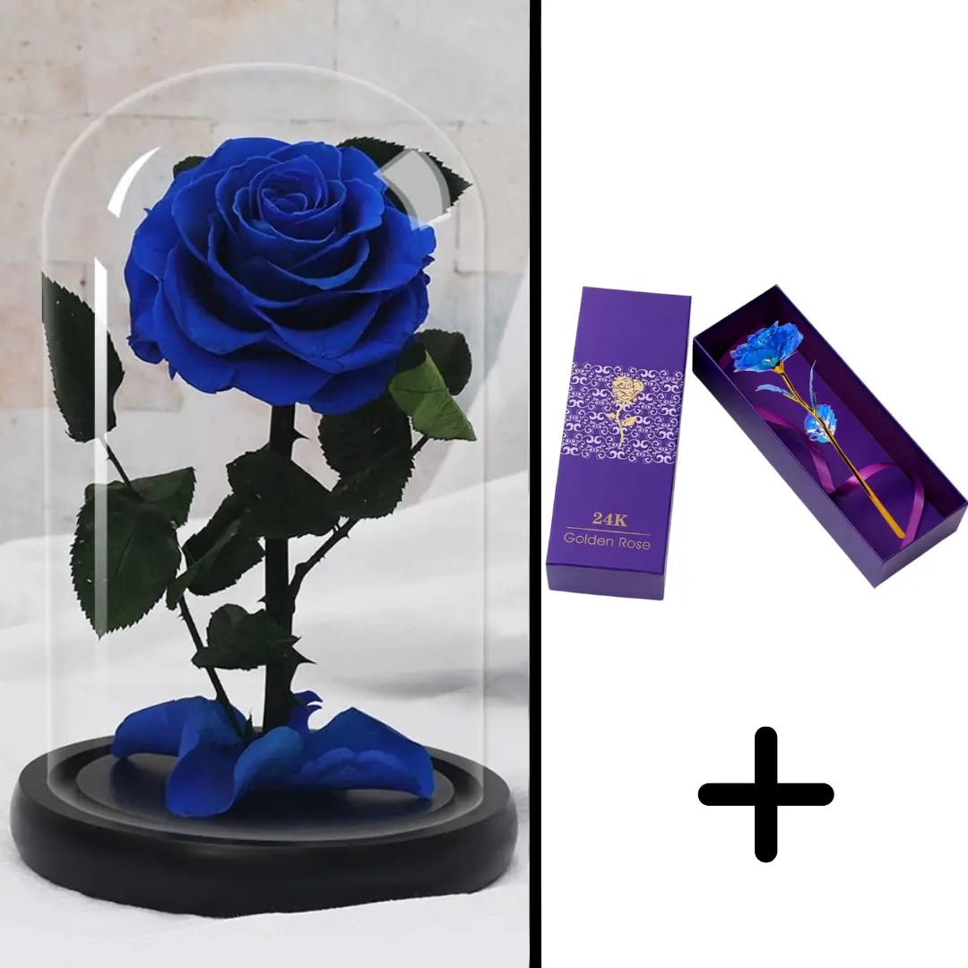 Eternal Rose Blue Bundle-Paket + 24k Geschenkbox (Auswahl)