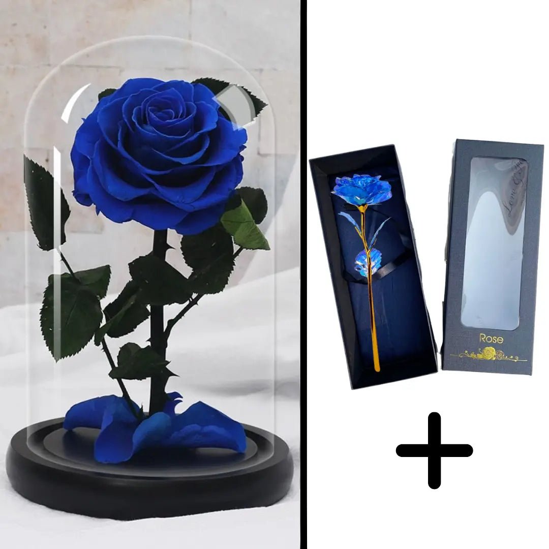 Eternal Red Rose Bundle Pack + 24k Gift Box (Choice)