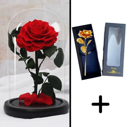 Eternal Red Rose Bundle Pack + 24k Gift Box (Choice)
