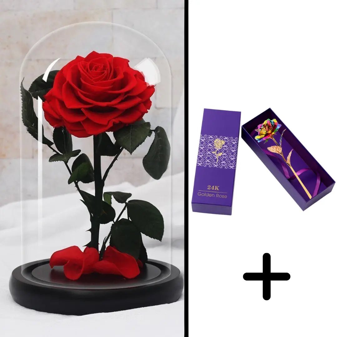 Eternal Red Rose Bundle Pack + 24k Gift Box (Choice)