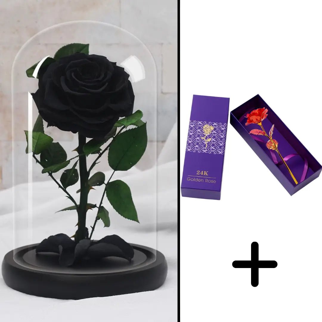 Eternal Red Rose Bundle Pack + 24k Gift Box (Choice)