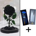 Bundle Pack Rose Eternelle Noir + Coffret 24k (Choix)