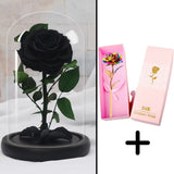 Bundle Pack Rose Eternelle Rouge + Coffret 24k (Choix)