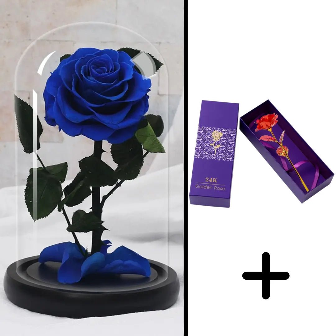 Eternal Red Rose Bundle Pack + 24k Gift Box (Choice)