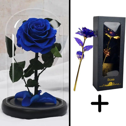 Eternal Rose Blue Bundle-Paket + 24k Geschenkbox (Auswahl)