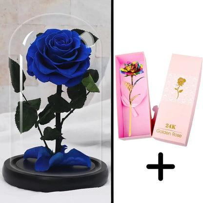 Eternal Red Rose Bundle Pack + 24k Gift Box (Choice)