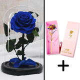 Bundle Pack Rose Eternelle Rouge + Coffret 24k (Choix)