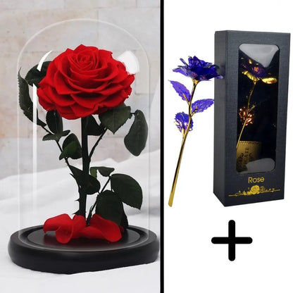 Eternal Red Rose Bundle Pack + 24k Gift Box (Choice)