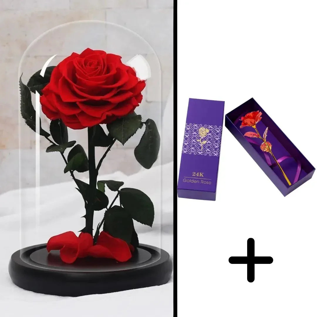 Bundle Pack Rose Eternelle Rouge + Coffret 24k (Choix) - Rose Eternelle La Boutique