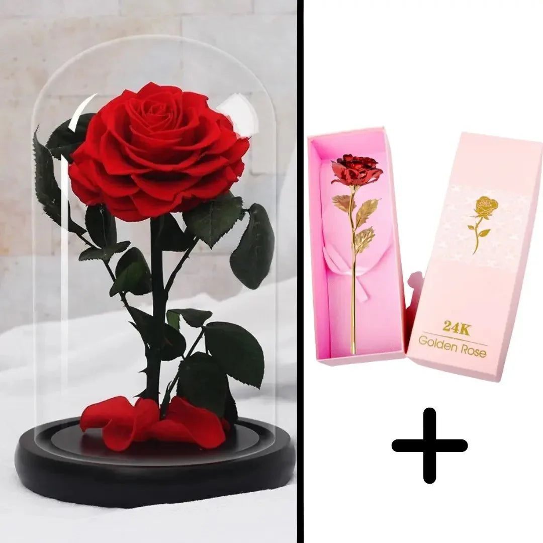 Bundle Pack Rose Eternelle Rouge + Coffret 24k (Choix) - Rose Eternelle La Boutique