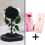 Bundle Pack Rose Eternelle Rouge + Coffret 24k (Choix)