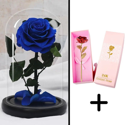 Eternal Red Rose Bundle Pack + 24k Gift Box (Choice)