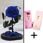 Bundle Pack Rose Eternelle Rouge + Coffret 24k (Choix)