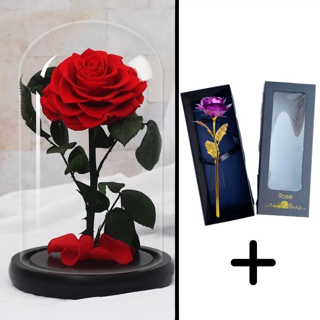 Eternal Red Rose Bundle Pack + 24k Gift Box (Choice)
