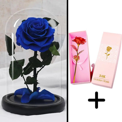 Eternal Red Rose Bundle Pack + 24k Gift Box (Choice)
