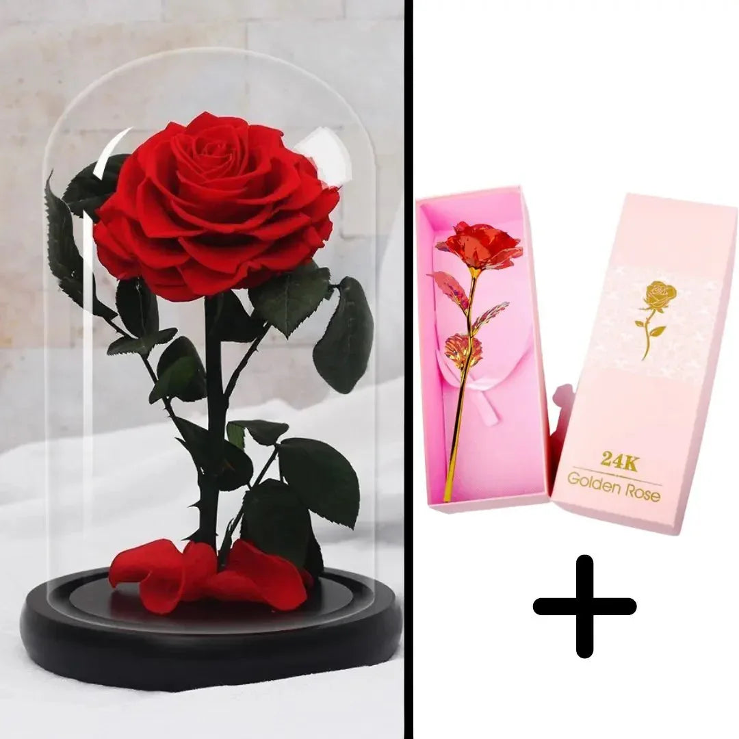 Bundle Pack Rose Eternelle Rouge + Coffret 24k (Choix) - Rose Eternelle La Boutique