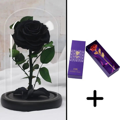 Eternal Red Rose Bundle Pack + 24k Gift Box (Choice)