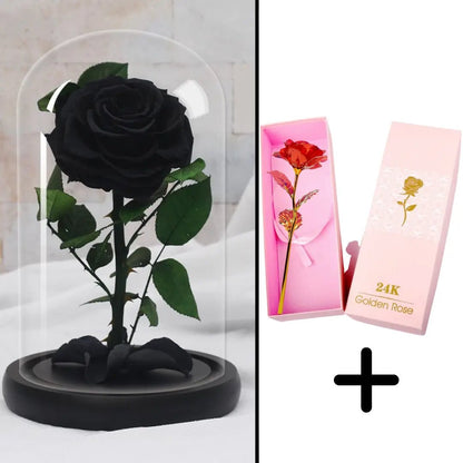 Eternal Red Rose Bundle Pack + 24k Gift Box (Choice)