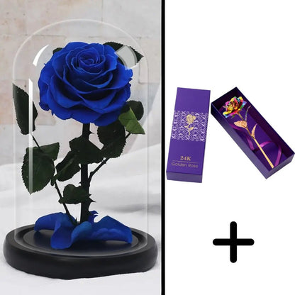Eternal Red Rose Bundle Pack + 24k Gift Box (Choice)