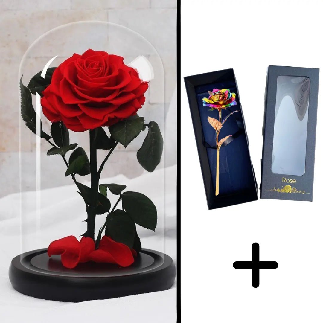Eternal Red Rose Bundle Pack + 24k Gift Box (Choice)