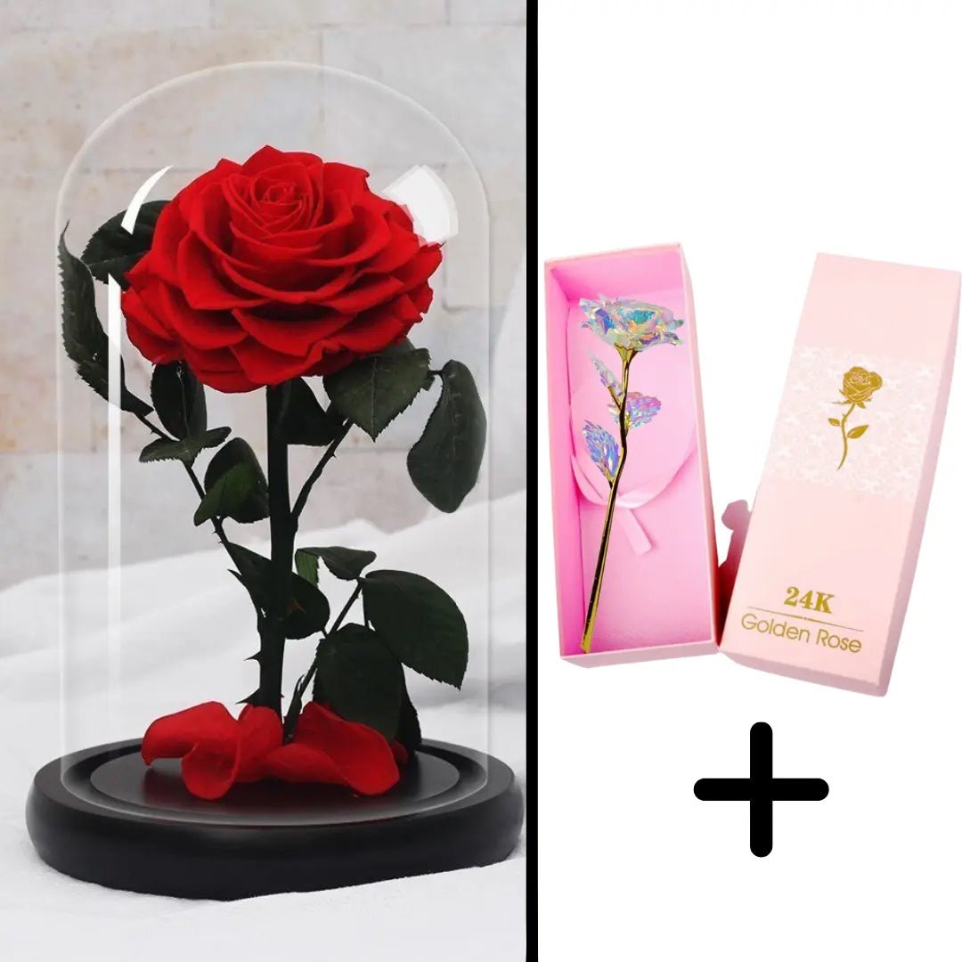 Eternal Red Rose Bundle Pack + 24k Gift Box (Choice)