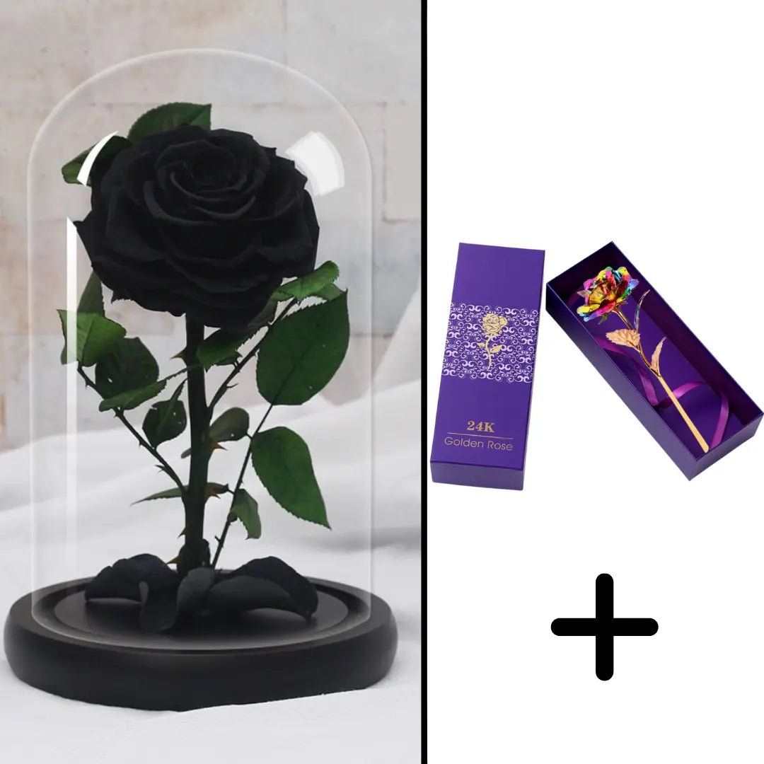 Eternal Red Rose Bundle Pack + 24k Gift Box (Choice)
