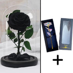 Bundle Pack Rose Eternelle Noir + Coffret 24k (Choix)