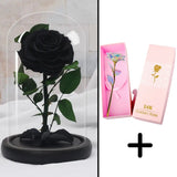 Bundle Pack Rose Eternelle Rouge + Coffret 24k (Choix)