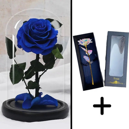 Eternal Red Rose Bundle Pack + 24k Gift Box (Choice)
