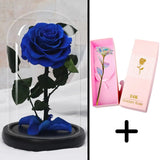 Bundle Pack Rose Eternelle Rouge + Coffret 24k (Choix)