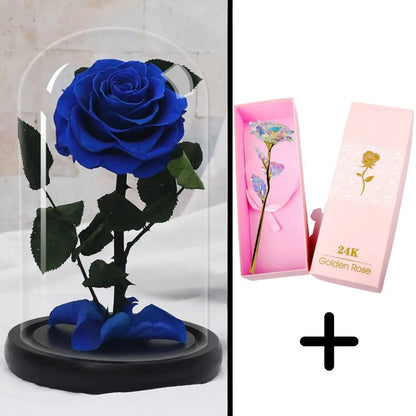 Eternal Rose Blue Bundle-Paket + 24k Geschenkbox (Auswahl)