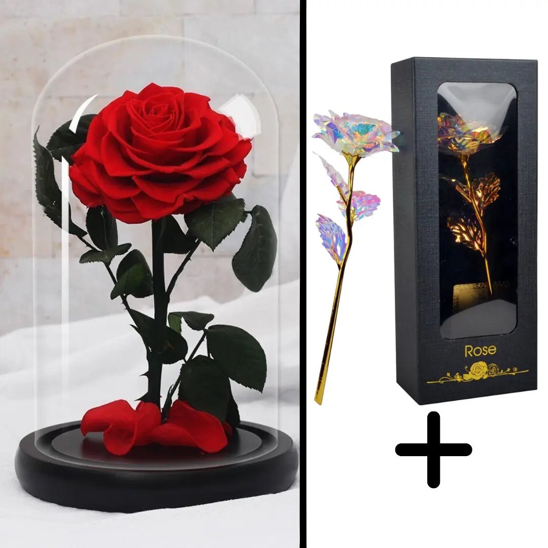 Eternal Red Rose Bundle Pack + 24k Gift Box (Choice)