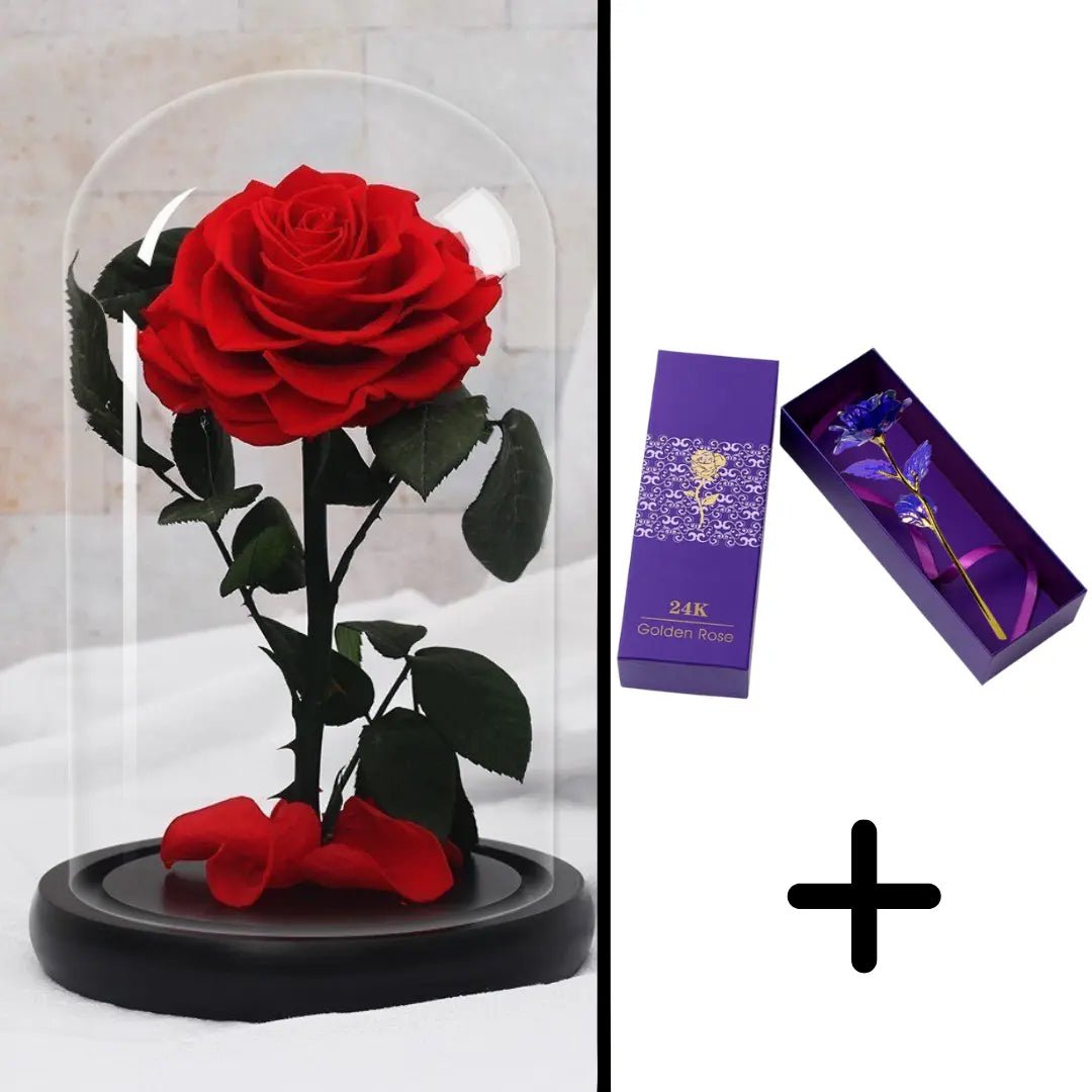 Eternal Red Rose Bundle Pack + 24k Gift Box (Choice)