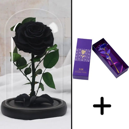 Eternal Red Rose Bundle Pack + 24k Gift Box (Choice)