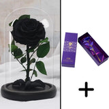 Bundle Pack Rose Eternelle Noir + Coffret 24k (Choix)