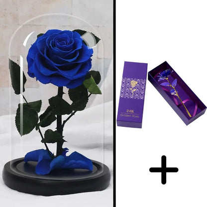 Eternal Rose Blue Bundle-Paket + 24k Geschenkbox (Auswahl)