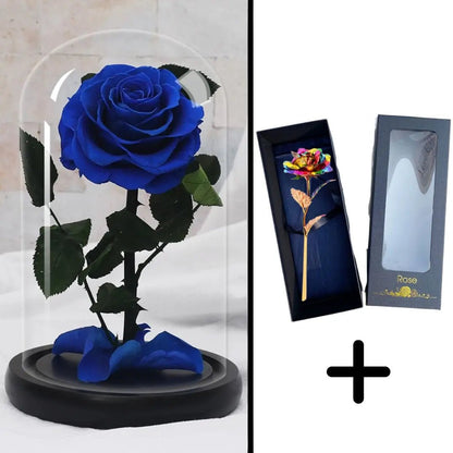 Eternal Rose Blue Bundle-Paket + 24k Geschenkbox (Auswahl)