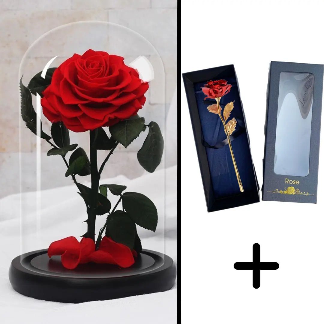Eternal Red Rose Bundle Pack + 24k Gift Box (Choice)