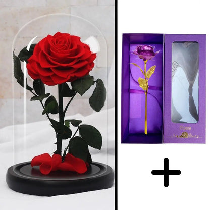 Eternal Red Rose Bundle Pack + 24k Gift Box (Choice)