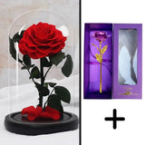 Bundle Pack Rose Eternelle Rouge + Coffret 24k (Choix)